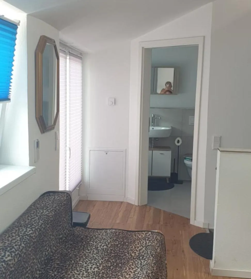 3 Seperate Apartments - 1,5 Room Apt - 2,5 Rooms Apt - 3,5 Rooms Apt Mit Sauna And Kamin Munique Alemanha