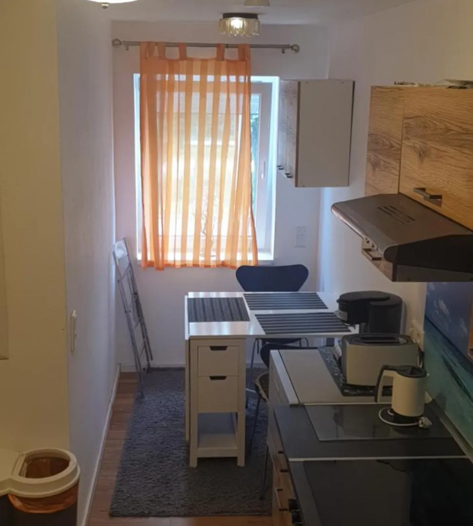 3 Seperate Apartments - 1,5 Room Apt - 2,5 Rooms Apt - 3,5 Rooms Apt Mit Sauna And Kamin Munique 0*,