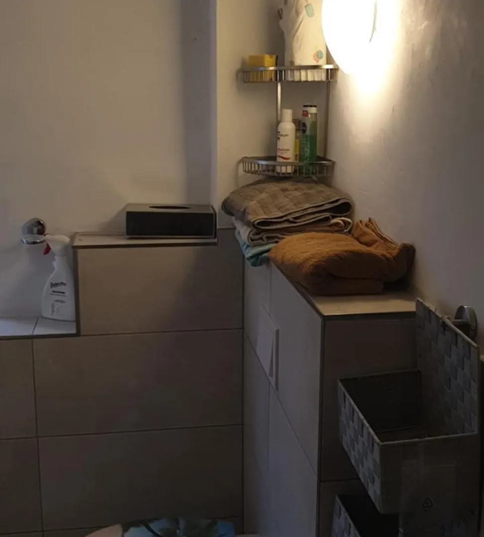 3 Seperate Apartments - 1,5 Room Apt - 2,5 Rooms Apt - 3,5 Rooms Apt Mit Sauna And Kamin Munique 0*,  Alemanha